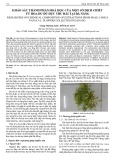 Khảo sát thành phần hoá học của một số dịch chiết từ hoa đu đủ đực thu hái tại Đà Nẵng