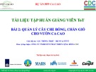 Bài giảng Tập huấn trồng ca cao bài 2: Quản lý cây che bóng, chắn gió cho vườn ca cao