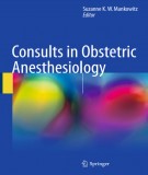 Ebook Consults in obstetric anesthesiology: Part 1