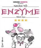Nhân tố Enzyme (Tập 4: Minh họa): Phần 2