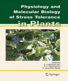 Ebook Physiology and molecular biology of stress tolerance in plants: Part 1