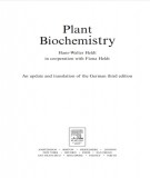 Ebook Plant biochemistry (Third edition): Part 2