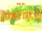 Bài giảng Sinh học lớp 11 bài 35: Hoocmon thực vật