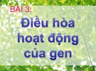 Bài giảng môn Sinh học lớp 12 bài 3: Điều hòa hoạt động của gen