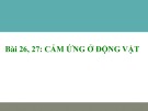 Bài giảng Sinh học lớp 11 bài 26 + 27: Cảm ứng ở động vật