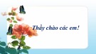 Bài giảng Ngữ văn lớp 12 bài: Giữ gìn sự trong sáng của tiếng Việt (Tiết 1)