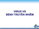 Bài giảng Sinh học lớp 10 bài 29, 30: Virus và bệnh truyền nhiễm