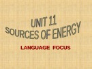 Bài giảng Tiếng Anh lớp 11: Unit 11 - Language focus