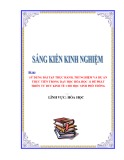 Sáng kiến kinh nghiệm THPT: Sử dụng bài tập thực hành, thí nghiệm và dự án thực tiễn trong dạy học Hóa học 11 để phát triển tư duy kinh tế cho học sinh phổ thông