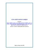 Sáng kiến kinh nghiệm THPT: Phát triển năng lực thực hành nghiên cứu và sáng tạo cho học sinh thông qua các tiết dạy học dự án chương trình 12