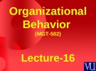 Organizational behavior: Lecture 16 - Dr. Mukhtar Ahmed