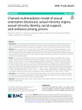 Chained multimediator model of sexual orientation disclosure, sexual minority stigma, sexual minority identity, social support, and resilience among YMSMs