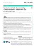 Social determinants of vulnerability in the population of reproductive age: A systematic review