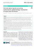 Cervical spine injuries occurring at the beach: Epidemiology, mechanism of injury and risk factors