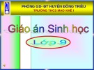 Bài giảng Sinh học lớp 9 - Tiết 9: Nguyên phân