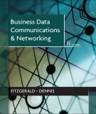 Ebook Business data communications and networking: Part 2