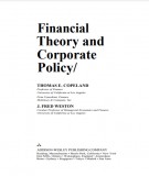 Ebook Copeland's financial theory and corporate policy: Part 1