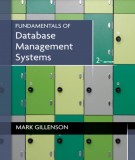 Ebook Fundamentals of database management systems (Second edition): Part 1