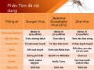 Báo cáo: Bệnh do vi virus trên người lây truyền qua vector muỗi  (sốt xuất huyết, viêm não nhật bản, zika)