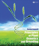 Ebook Principles of plant genetics and breeding: Part 2