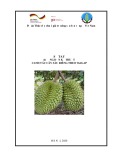 Sổ tay hướng dẫn kỹ thuật canh tác cây sầu riêng theo VietGAP