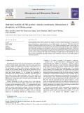 Hydrolytic stability of PEG-grafted γ-alumina membranes: Alkoxysilane vs phosphonic acid linking groups
