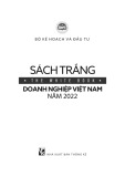 Sách trắng doanh nghiệp Việt Nam năm 2022