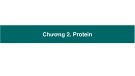 Bài giảng Hóa sinh và thí nghiệm hóa sinh: Chương 2 - Protein