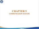Lecture Essential human resource management - Chapter 5: Compensation system