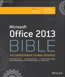 Ebook Microsoft® Office 2013 Bible: Part 2