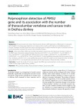 Polymorphism detection of PRKG2 gene and its association with the number of thoracolumbar vertebrae and carcass traits in Dezhou donkey