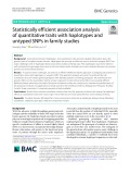Statistically efficient association analysis of quantitative traits with haplotypes and untyped SNPs in family studies