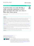 A genome-wide scan study identifies a single nucleotide substitution in MC1R gene associated with white coat colour in fallow deer (Dama dama)