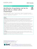 Identification of quantitative trait loci for kernel traits in a wheat cultivar Chuannong16
