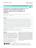 Comparative transcriptome analysis of two selenium-accumulating genotypes of Aegilops tauschii Coss. in response to selenium