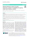 Optimal reference genes for gene expression analysis in polyploid of Cyprinus carpio and Carassius auratus