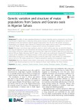 Genetic variation and structure of maize populations from Saoura and Gourara oasis in Algerian Sahara