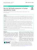 Hsa-mir-548 family expression in human reproductive tissues