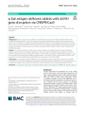 α-Gal antigen-deficient rabbits with GGTA1 gene disruption via CRISPR/Cas9