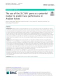 The use of the SLC16A1 gene as a potential marker to predict race performance in Arabian horses