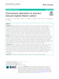 Chromosome aberrations in pressureinduced triploid Atlantic salmon