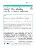 Transcriptome, physiological and biochemical analysis of Triarrhena sacchariflora in response to flooding stress