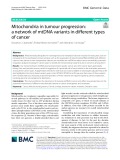 Mitochondria in tumour progression: A network of mtDNA variants in different types of cancer
