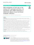DNA methylation of CpG sites in the chicken KLF7 promoter and Exon 2 in association with mRNA expression in abdominal adipose tissue and blood metabolic indicators