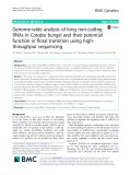 Genome-wide analysis of long non-coding RNAs in Catalpa bungei and their potential function in floral transition using highthroughput sequencing
