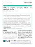 HYAL3 as a potential novel marker of BLCA patient prognosis