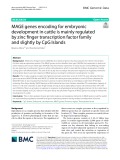 MAGE genes encoding for embryonic development in cattle is mainly regulated by zinc finger transcription factor family and slightly by CpG Islands