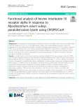 Functional analysis of bovine interleukin-10 receptor alpha in response to Mycobacterium avium subsp. paratuberculosis lysate using CRISPR/Cas9