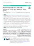 Functional identification of PsMYB57 involved in anthocyanin regulation of tree peony