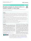 Breeding strategies for animal resilience to weather variation in meat sheep